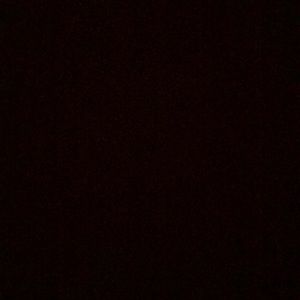 Meet your Posher, Ellie